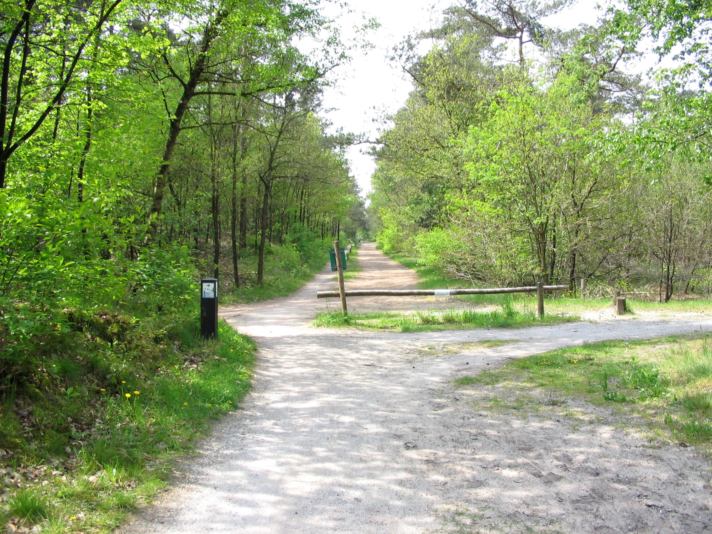 Regio Appelscha